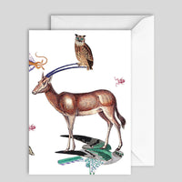 Greeting Card Animal